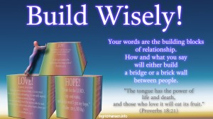 Build Wisely